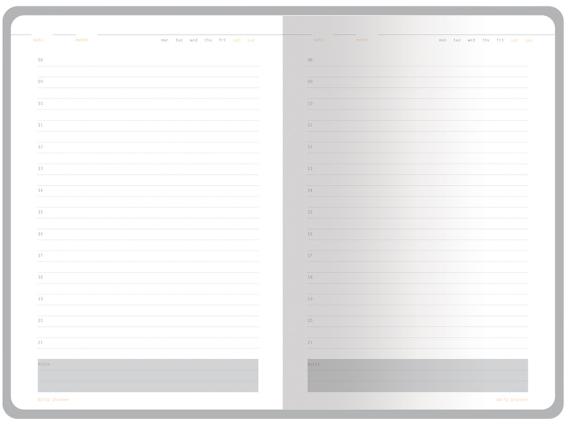 Ежедневник недатированный А5 «Mercury»